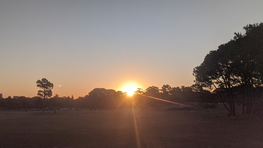 Sunset at Centennial Park - Sydney - Australia